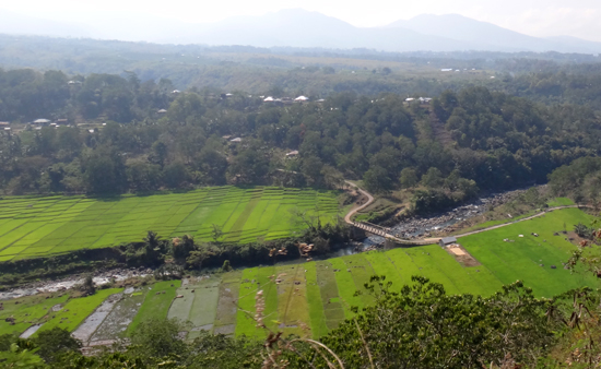 kabupaten Manggarai - lumbung padi Nusa Tenggaara Timur