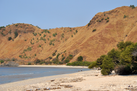 pasir putih pesona bukit sabana