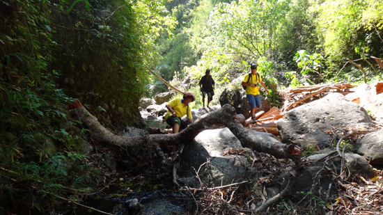 trekking menuju air terjun Murusobe