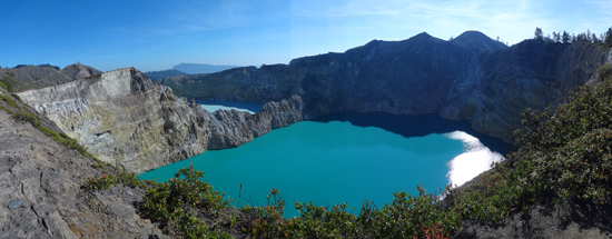 vegetasi di Gunung Kelimutu
