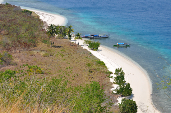 garis pantai eksotis pulau Tepa