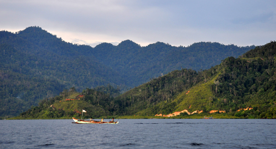bukit dan hutan baka melindungi teluk di sebelah utara