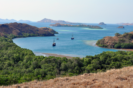 Teluk Kisam Pulau Rinca 