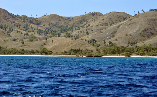 berlayar di Taman Nasional Komodo