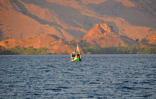 Pulau Komodo , Flores Nusa Tenggara Timur