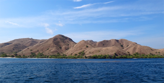 pink beach dari kejauhan