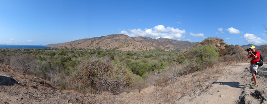 Fotografi - merekam keindahan alam sera keunikan flora dan fauna