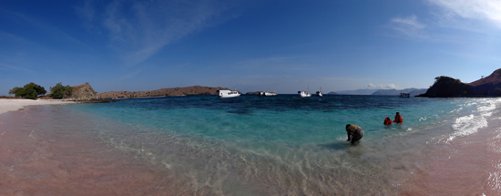 keindahan panorama pink beach