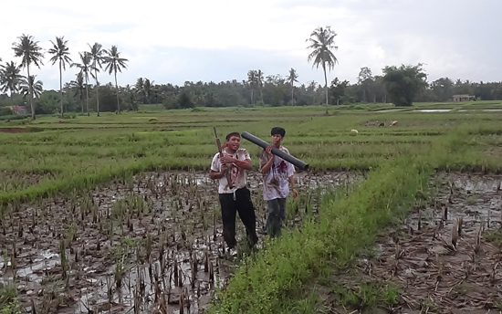 adegan perang di sawah 