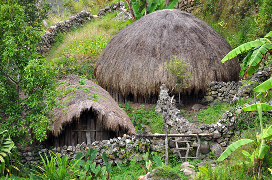 Honai - rumah Papua