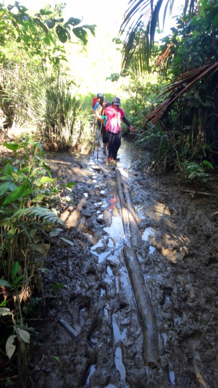 Trekking ekstrim bersama lumpur dan kayu titian 