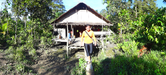 Umai, rumah tradisional Mentawai