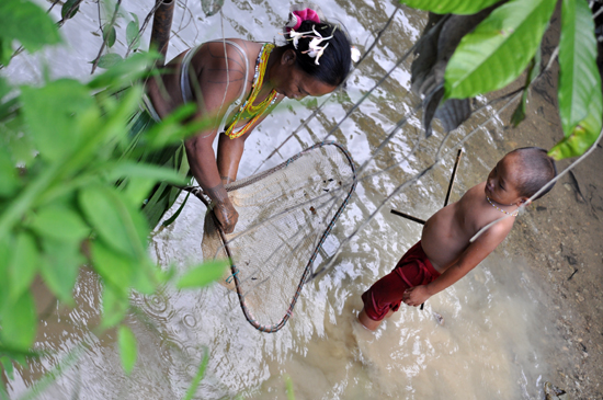 Kalabai mencari ikan di sungai