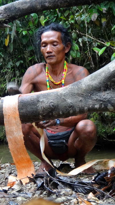 membuat kabit dari kulit kayu