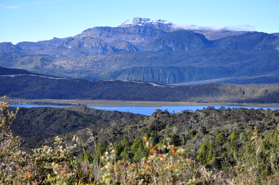 Danau Habema