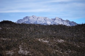 penampakan puncak Trikora dari sisi danau