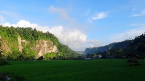 pemandangan sawah indah memukau