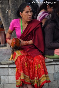 unggas untuk dikorbankan