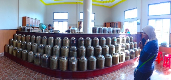 terkagum melihat beragam biji kopi