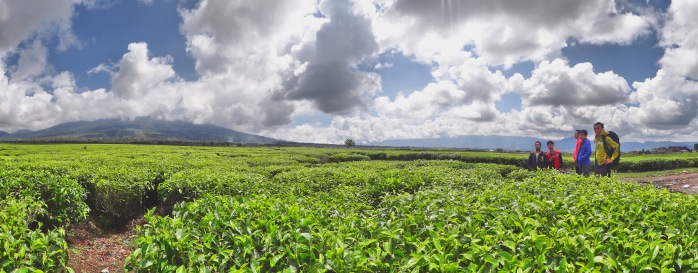 berpose ala boyband dengan panorama kebun teh dan gunung Kerinci