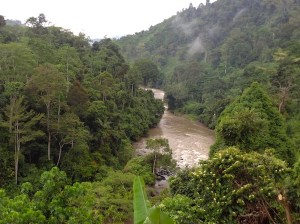 sungai batang Merangin