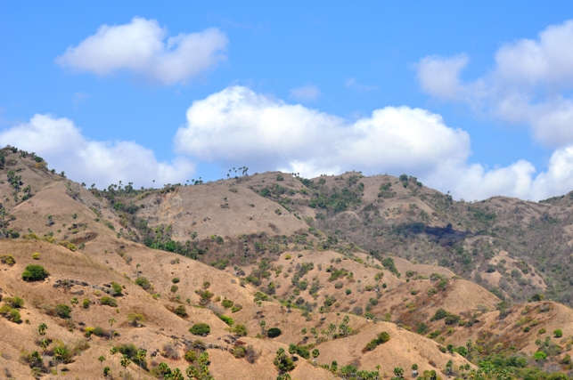 pemandangan ketika trekking di pulau Komodo
