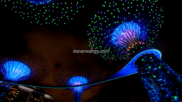 Supertree Garden By  The Bay