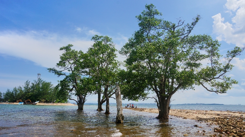 pulau ular di Nongsa