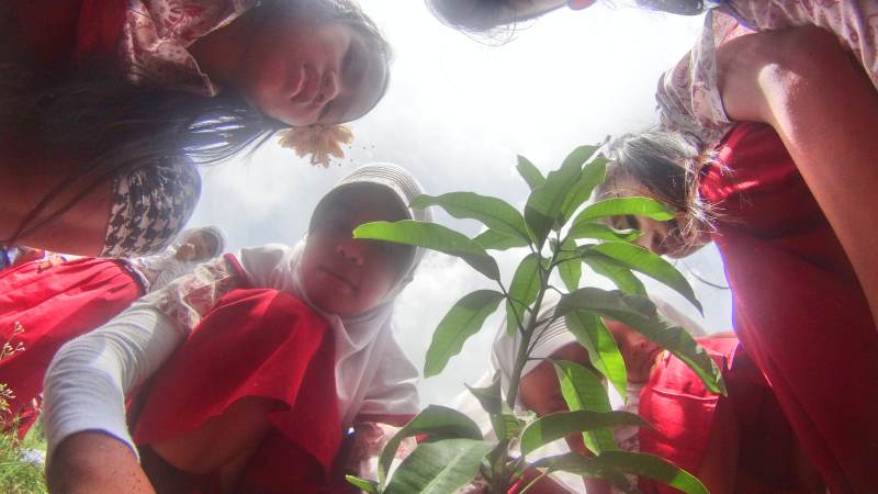 menanam pohon di halaman sekolah