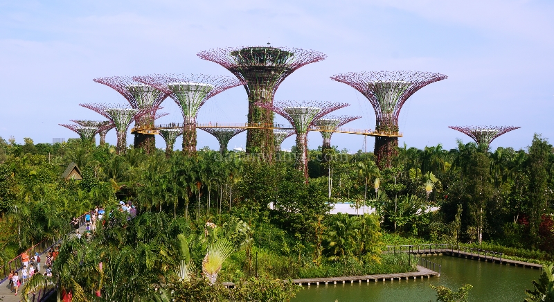 Gardens by The Bay