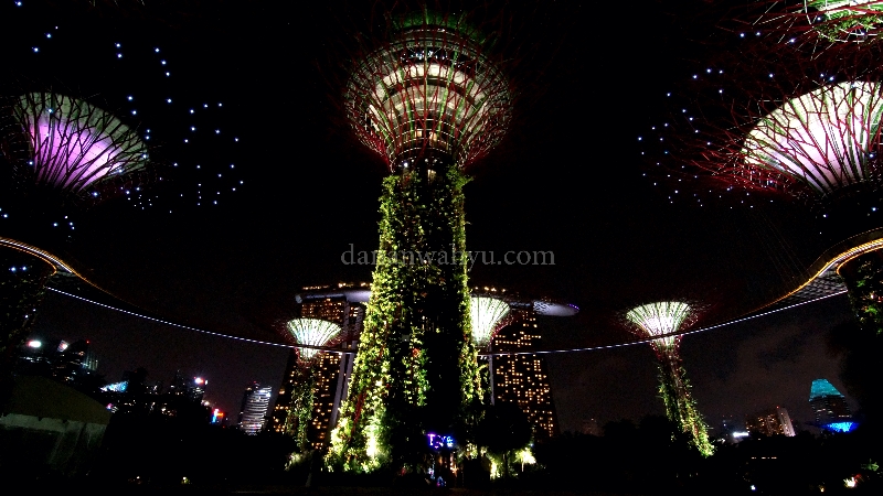 Super Tree di malam hari (jangan lupa saksikan video)
