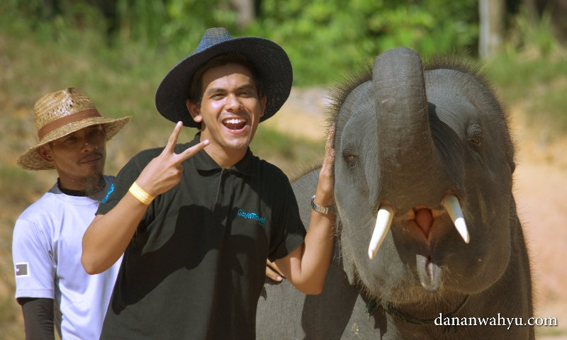 aksi narsis bareng gajah 