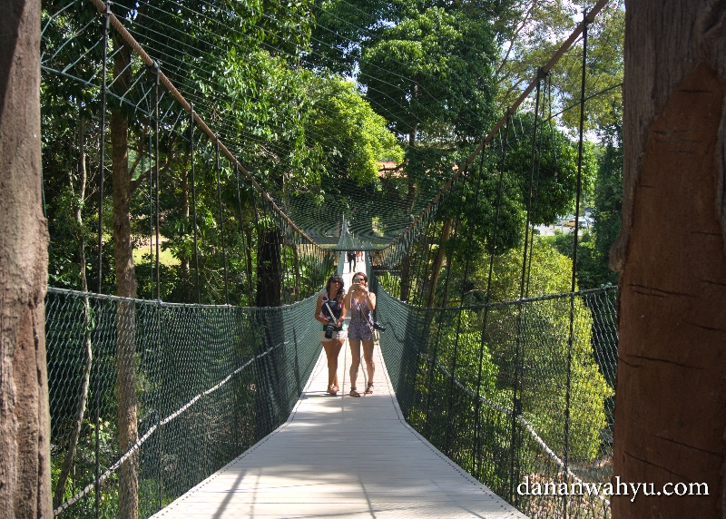 berkeliling kawasan Kenyir Elephant Village di atas jembatan gantung