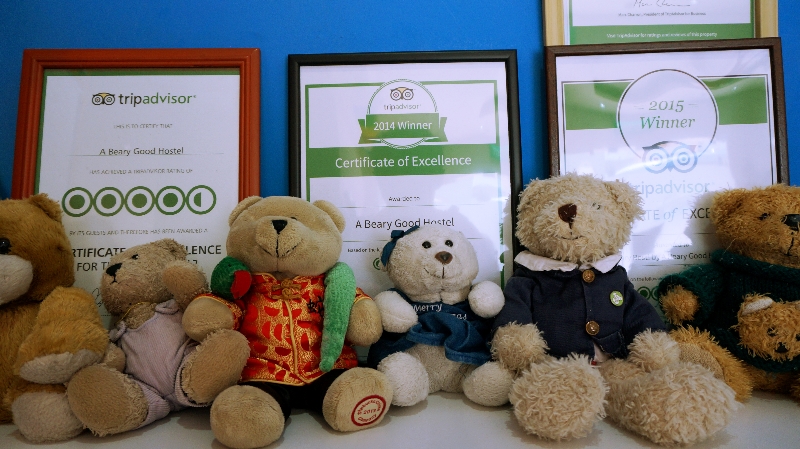 penghargaan A Beary Best Hostel 