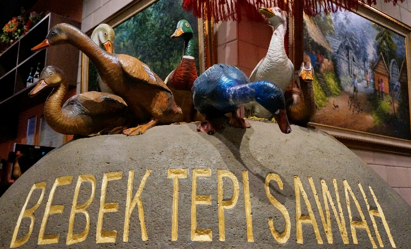 Patung Bebek Tepi Sawah 