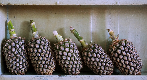 Nanas di salah satu rak, seger banget kakak