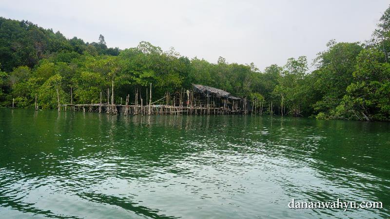 Kelong, pemandangan menarik Tour Mangrove