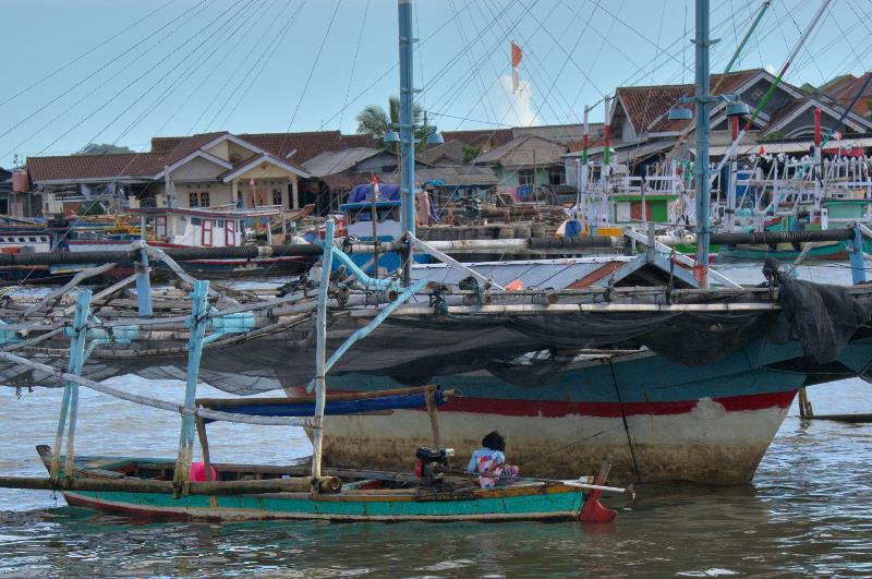 memancing di bawah bagan 