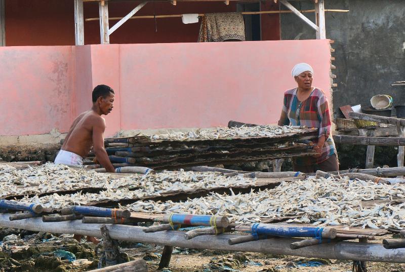 bahu membahu menyusun tampah ikan asin
