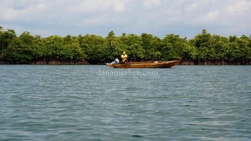 menyusuri pulau kecil dengan bakau rimbun