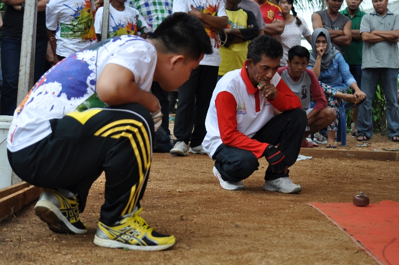 Pemerhati pusaran bumi