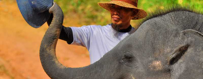 kampung gajah tasik kenyir
