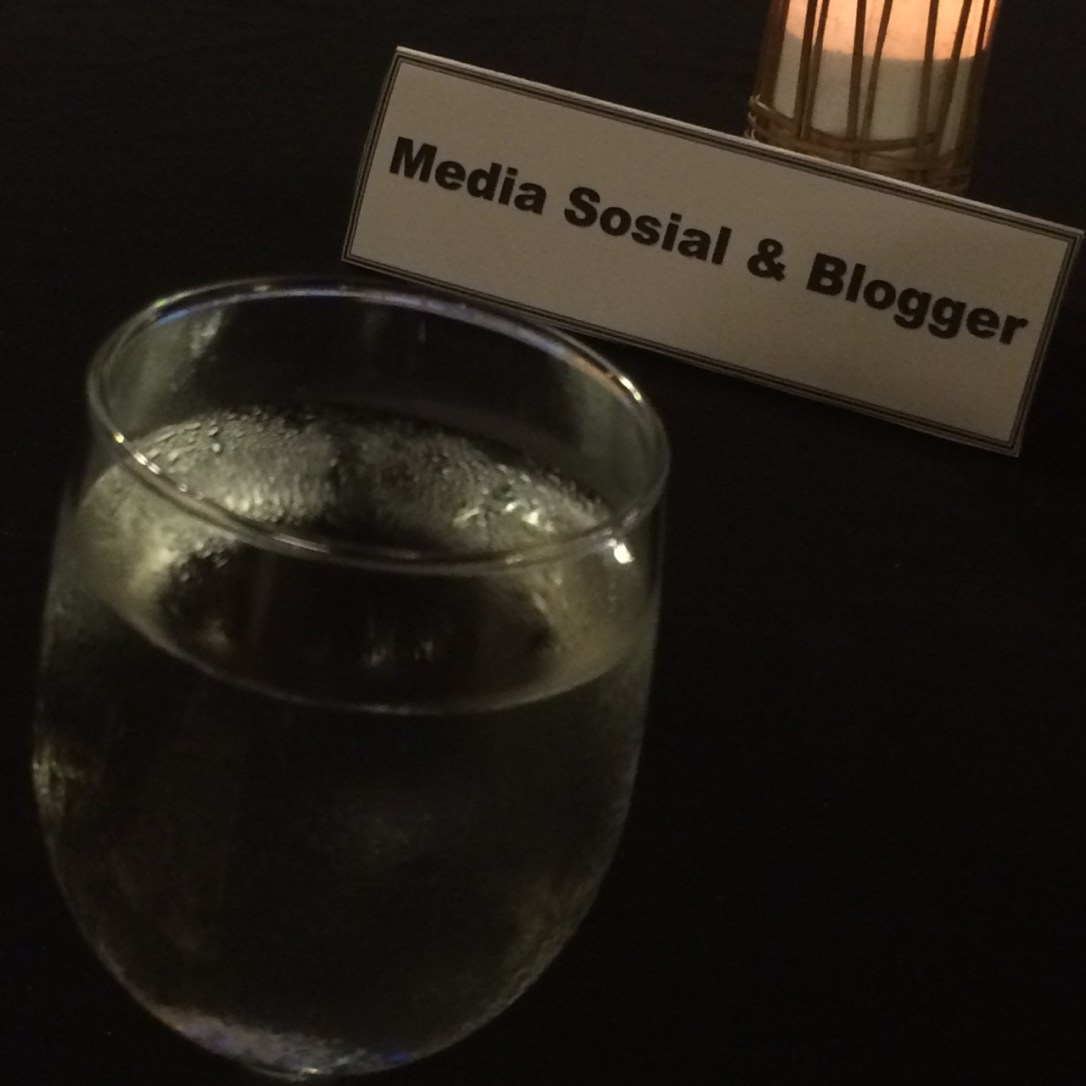 Media Sosial dan Blogger