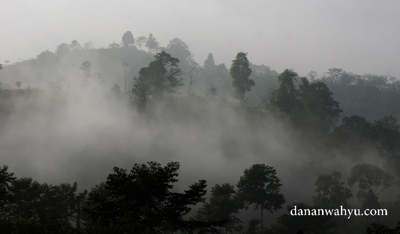 Kabut di Liwa