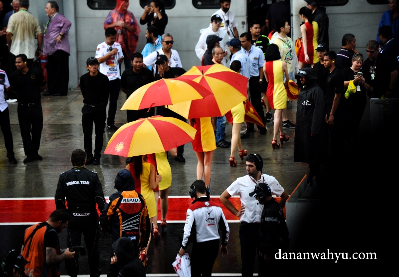 Dedek dedek hemes umbrella girl nggak kuat kehujanan lalu balik kanan