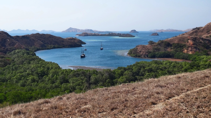 Pulau Rinca destinasi wisata yang akan saya sambangi 