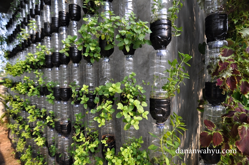 taman vertikal memanfatkan botol air mineral bekas 