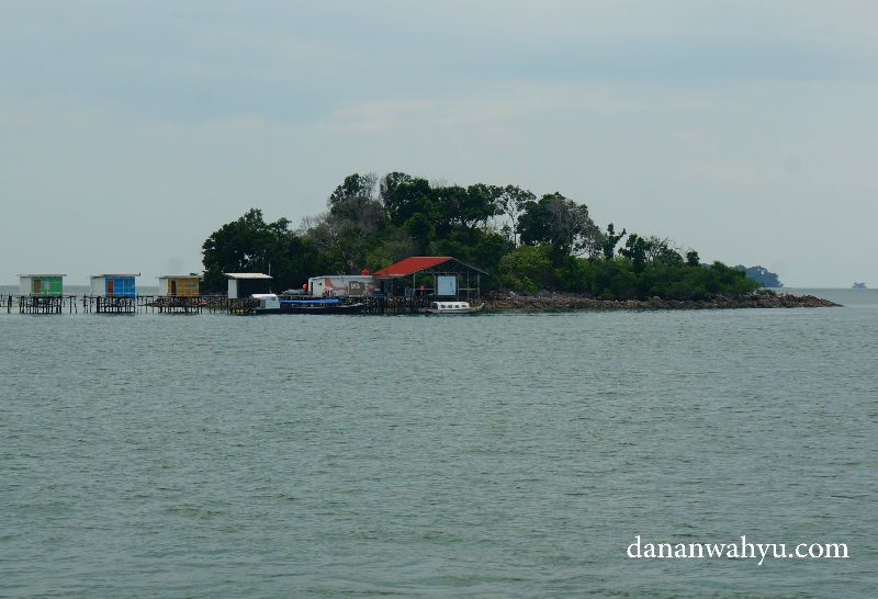 homestay di pulau Petong