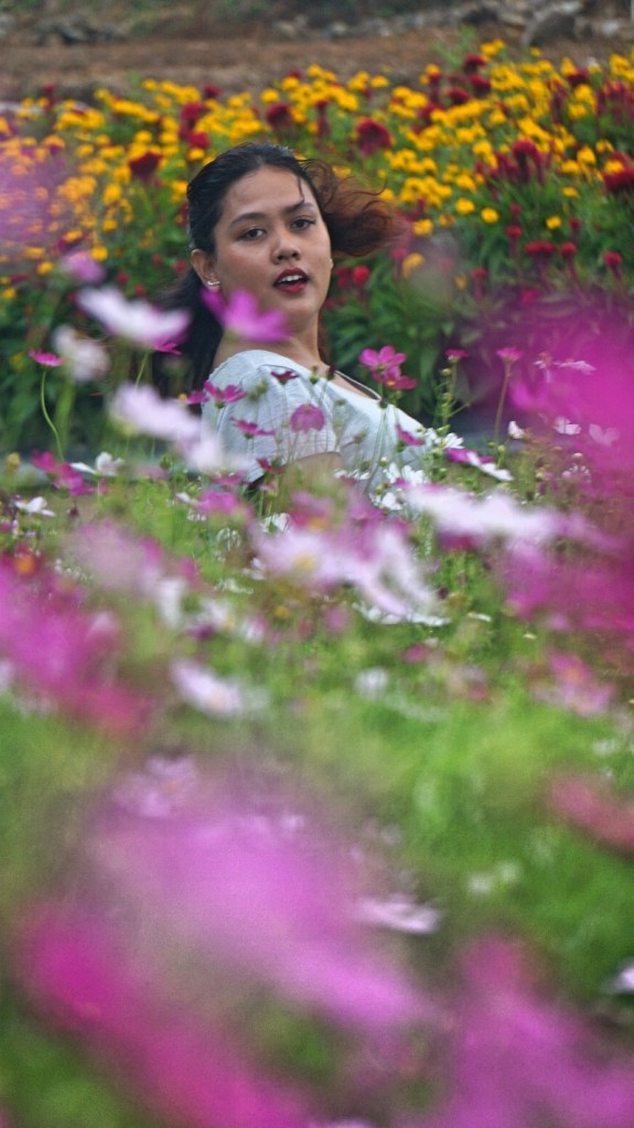 Mengkibaskan rambut dan bulu-bulu yang lain , hidung maksudnya 