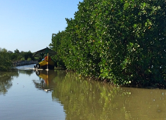 Menjelajah Ekowisata hutan mangrove Karangsong 